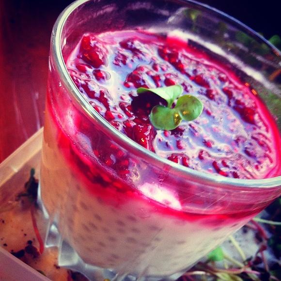 Kokosowy pudding z tapioki i malinami wegański