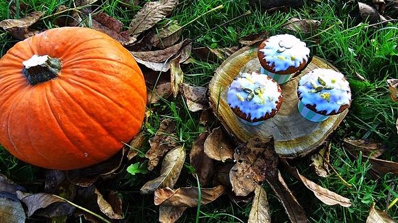 Muffiny dynia z wiśnią