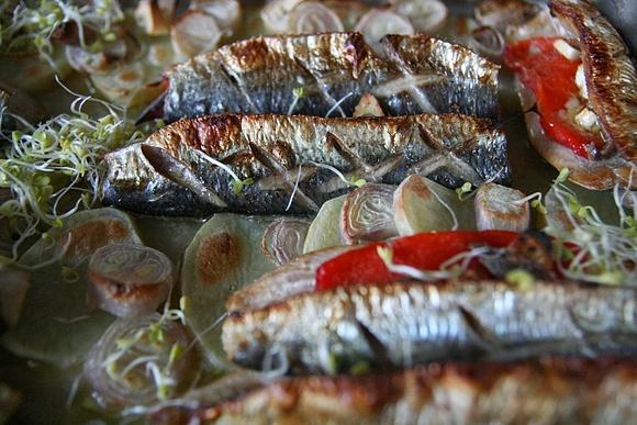 Śledź pieczony z papryką i anchois
