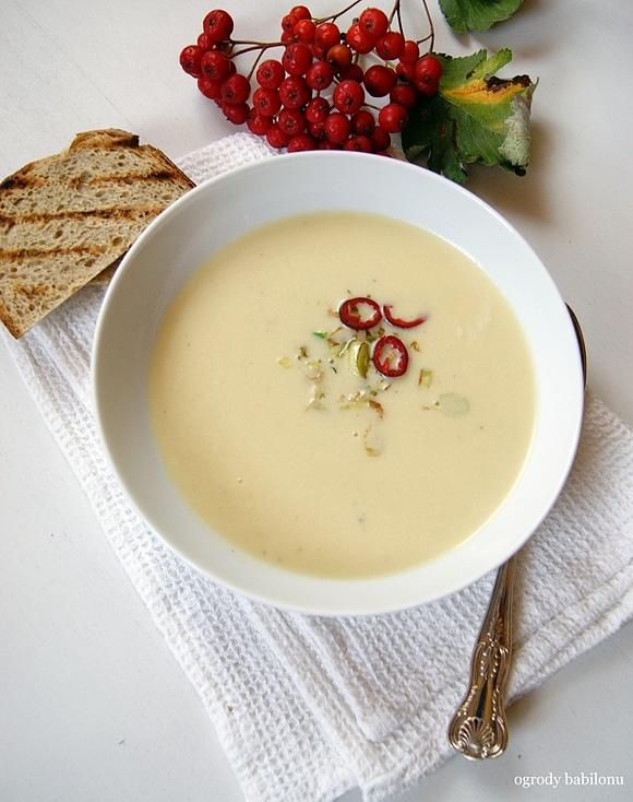 Zupa serowa z ziemniakami, porem i serem camembert