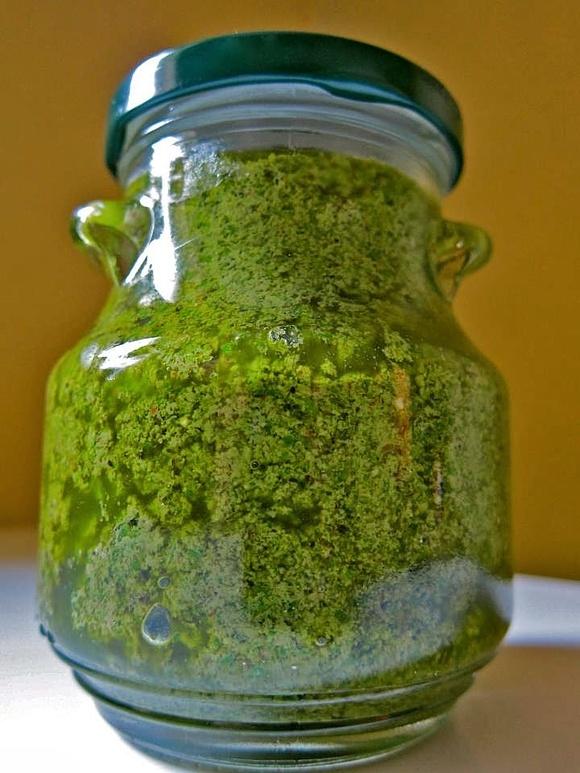Pesto bazyliowe