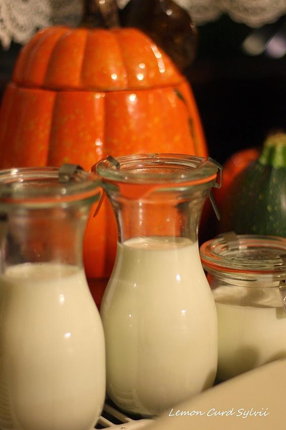 Domowy kozi jogurt