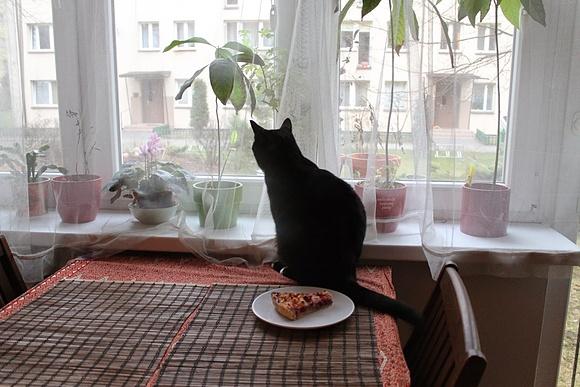 Tarta z burakami i serem feta