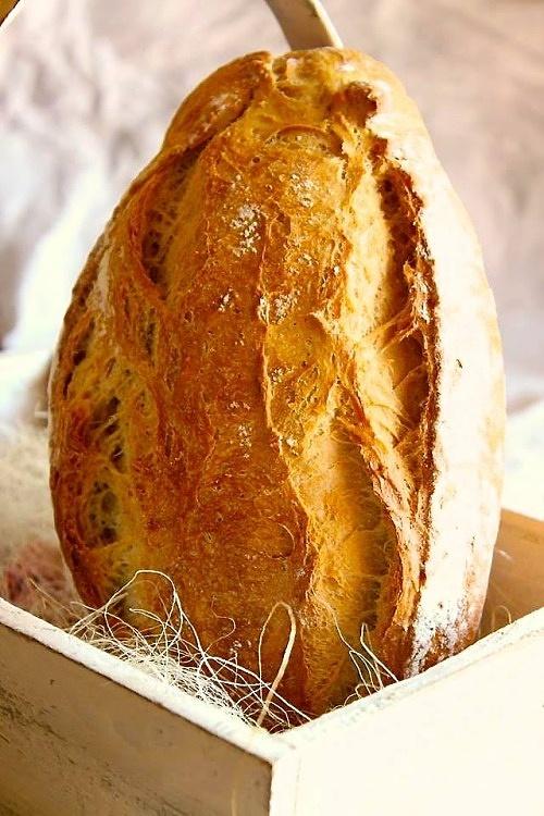 Piekarnia w styczniu – zaproszenie na pieczenie chleba hiszpańskiego
