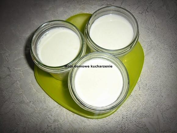 Domowy jogurt z mleka i naturalnego jogurtu