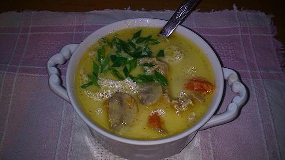 Zupa porowo-pieczarkowa