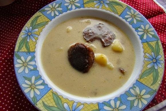 Podgrzybkowa zupa z lasu