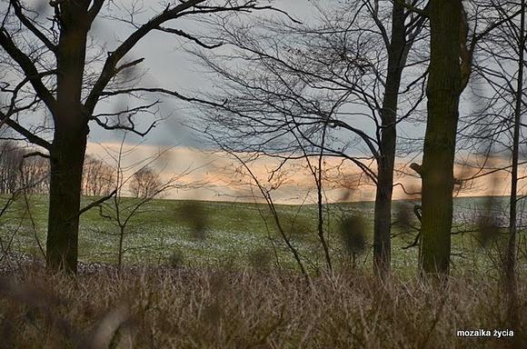 Styczniowe landszafty - piękne widoki i zimowa atmosfera