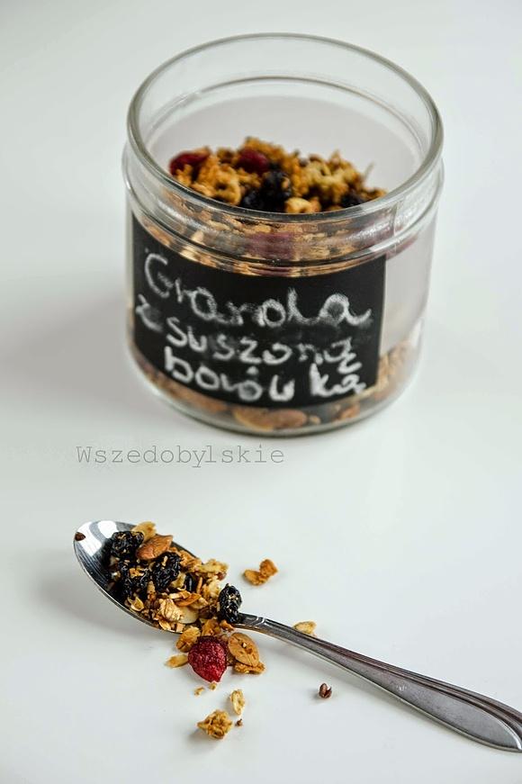 Od czego zacząć dzień? Domowa granola z suszoną borówką