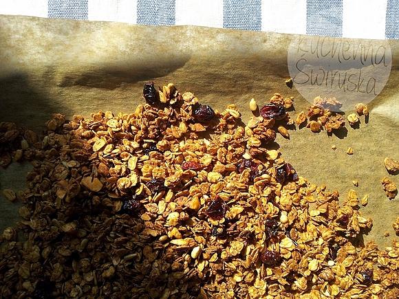 Granola domowa z orzechami i kokosowym cynamonem