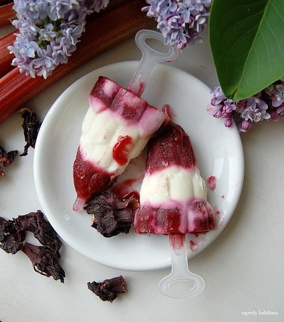 Lody jogurtowo-rabarbarowo-hibiskusowe