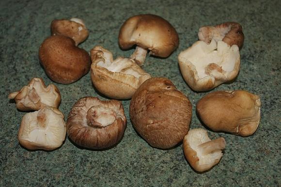Szpinakowe shiitake