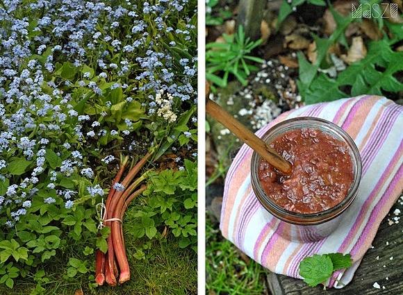 Dżem rabarbarowo-imbirowy