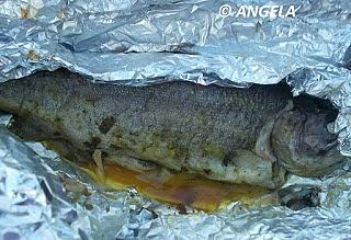 Pstrąg z grilla - Barbecue trout, trota alla griglia