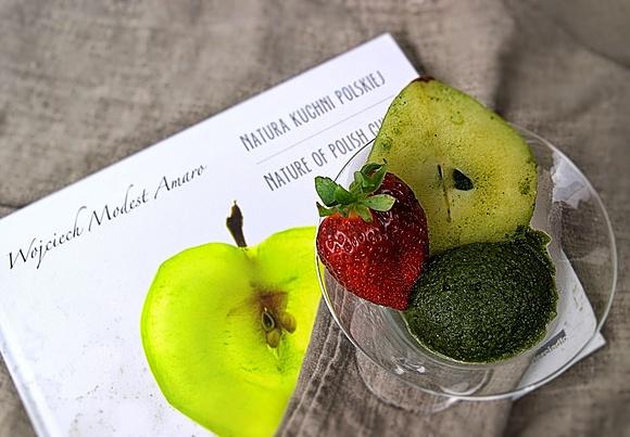 Sorbet z pokrzyw wojciecha modesta amaro