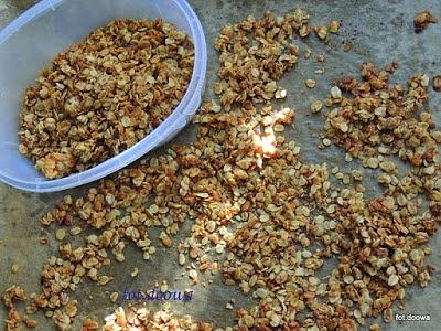 Prosta i zdrowa granola z płatków i miodu jagodowego
