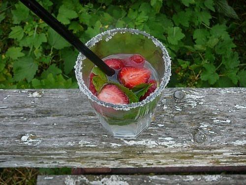 Prosta nalewka z kwiatów czarnego bzu i drink z nią