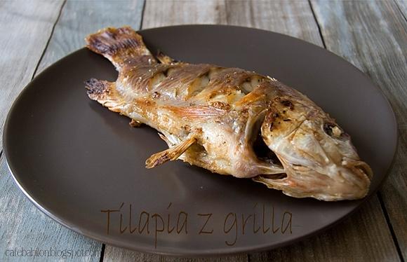 Tilapia z grilla