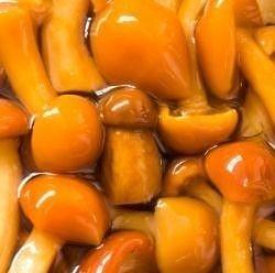 Grzyby marynowane z podgrzybkami i prawdziwkami