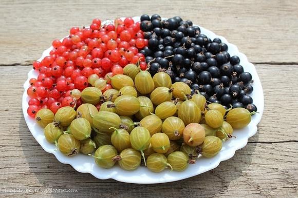 Kompot porzeczkowo-agrestowy