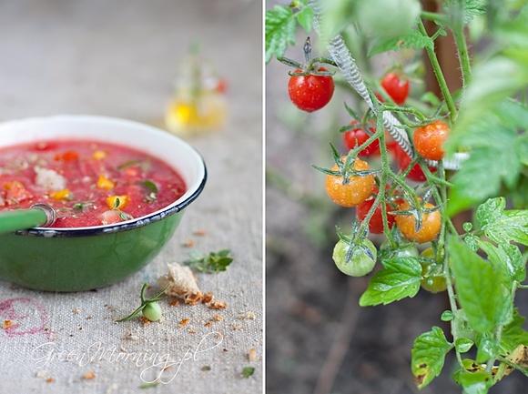Gazpacho po portugalsku