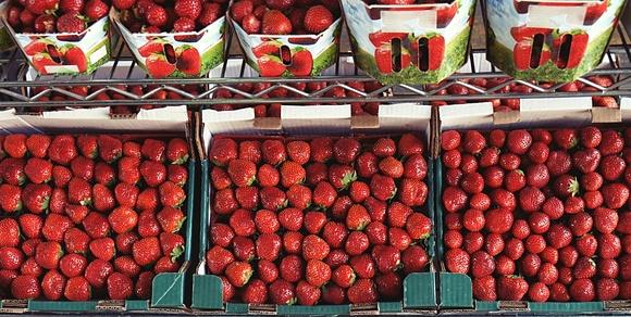 Smaczne i proste sposoby na przetrwanie upałów