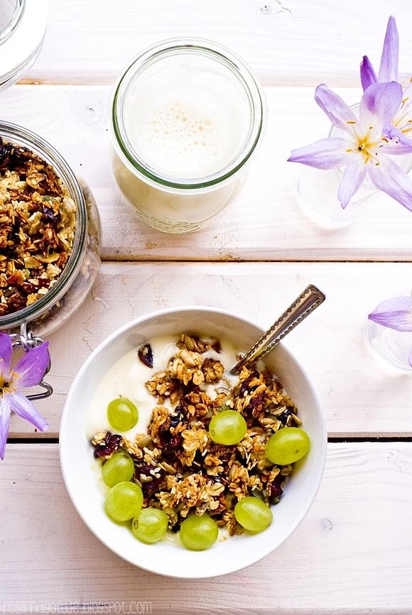 Granola z żurawiną i pestkami - domowy przepis na zdrowe śniadanie