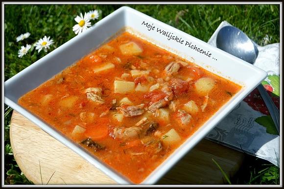 Zupa ogonowa