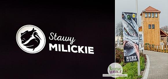 Fotoreportaż z karolem okrasa i stawami milickimi