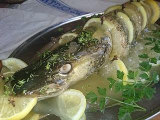 Rolowany szczupak w cytrynowej galarecie