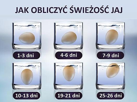 Jak sprawdzić świeżość jajka