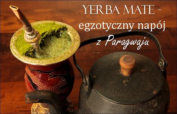 Yerba mate - egzotyczny napój z Paragwaju