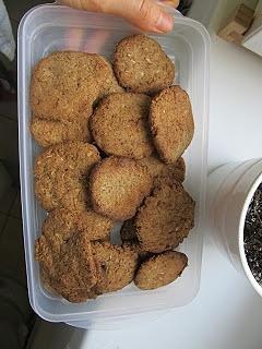 Orkiszowe ciasteczka kokosowe