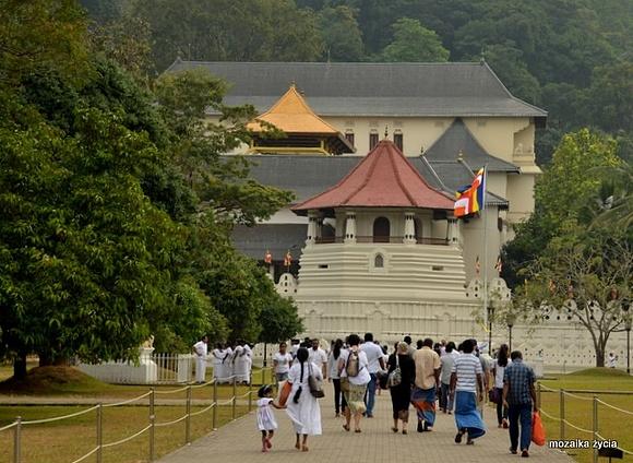Kandy obowiązkowy punkt na trasie po Sri Lance