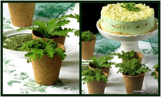 Zielone tiramisu z gruszką, matchą i geranium