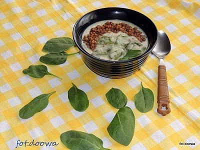 Zupa pietruszkowa z soczewicą