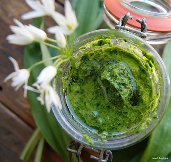 Czosnkowe pesto z czosnkiem niedźwiedzim i parmezanem
