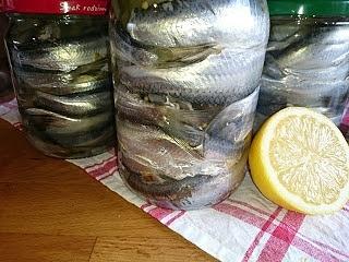 Domowe moskaliki