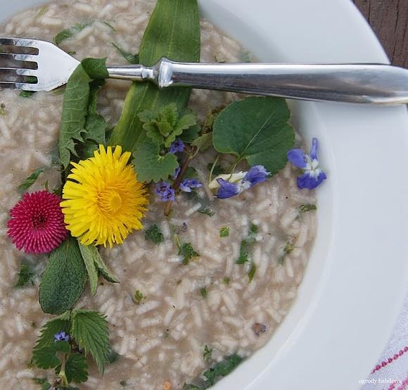 Risotto z chwastami