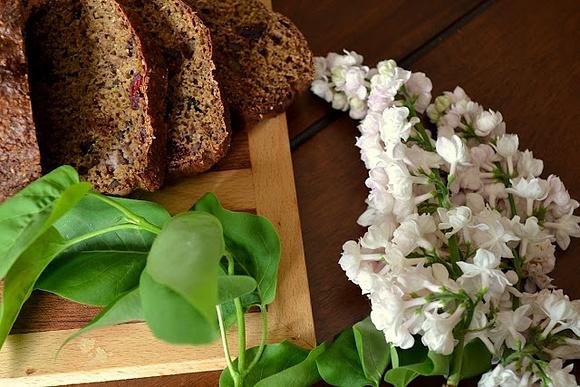 Razowy chlebek bananowy z daktylami i ziarnem kakao zdrowa wersja proteinowa