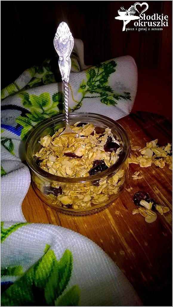 Domowa granola w kilka chwil
