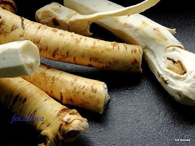 Chrzan pospolity - Amorocia rusticana