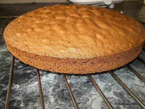 Biszkopt kakaowy do tortów, przekładów i ciast