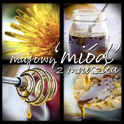 Miód mniszkowy, miód majowy, syrop z mniszka