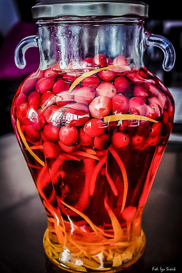 Domowy gin z żurawiną