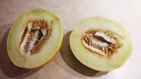 Jak obrać melona krok po kroku