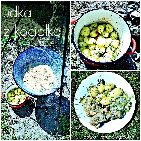 Udka z kurczaka duszone w kociołku węgierskim