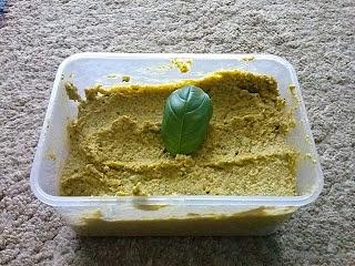 Hummus z bobu