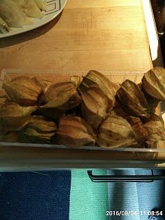 Physalis miechunka jadalna - wartości odżywcze i właściwości zdrowotne