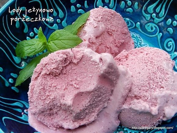 Lody jeżynowo porzeczkowe